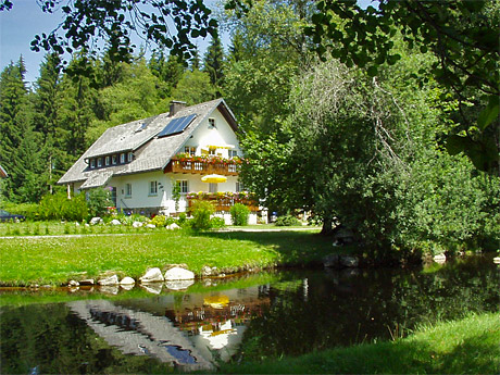 Das Haus Faller in Hinterzarten im Sommer