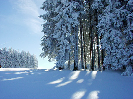 Die herrliche Winterlandschaft lädt zu Winterspaziergängen ein.