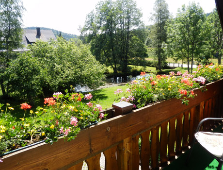 Aussicht vom Balkon