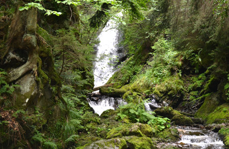 Ravennaschlucht Schwarzwald