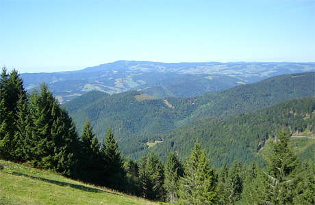 Die Landschaft in Hinterzarten und Umgebung