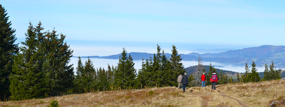 Wanderung zum Nebelmeer in Hinterzarten